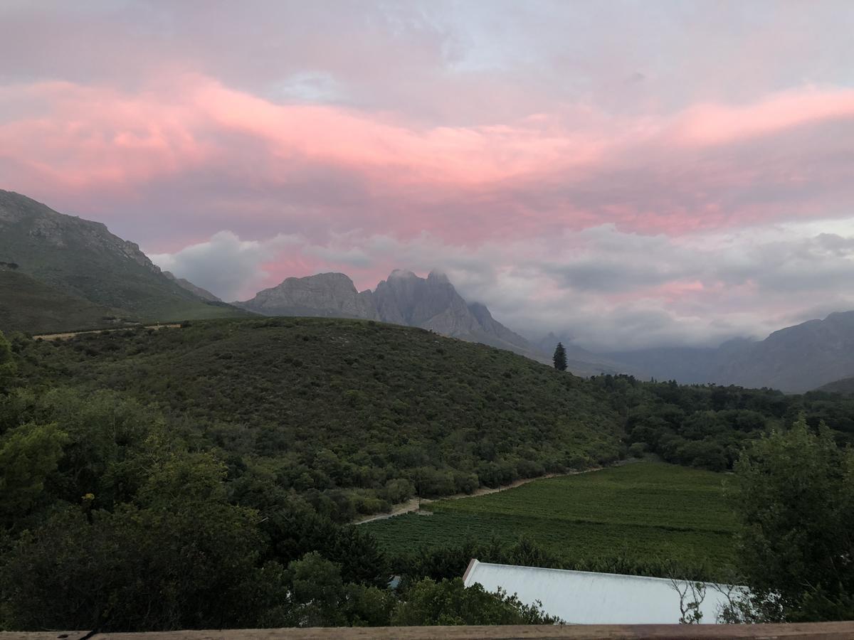 Three Pines Cottage On Stark Conde Stellenbosch Buitenkant foto